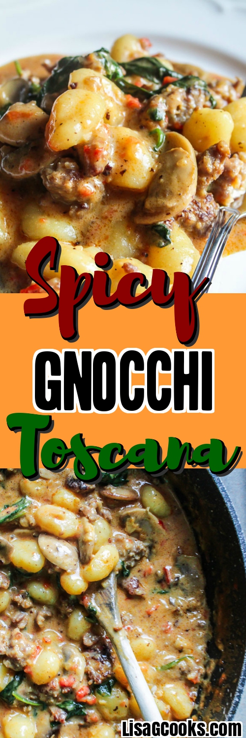 Gnocchi in a Spicy Cream Sauce